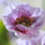 Luxury Artificial Flower Bouquet Amélie